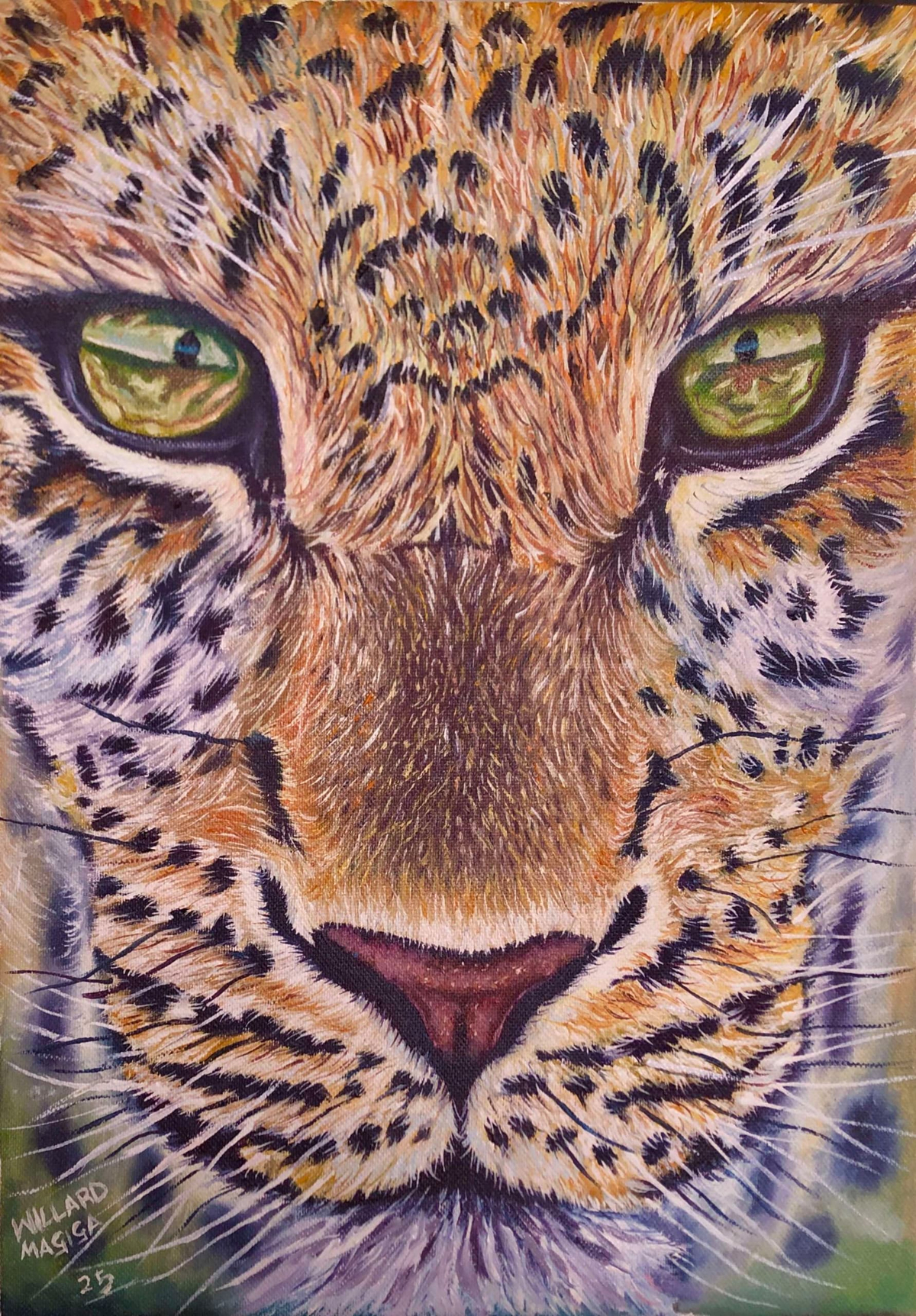 Leopard